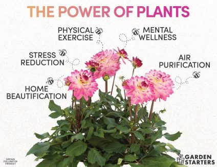 8.5x11 Bench Card - Power of Plants 2